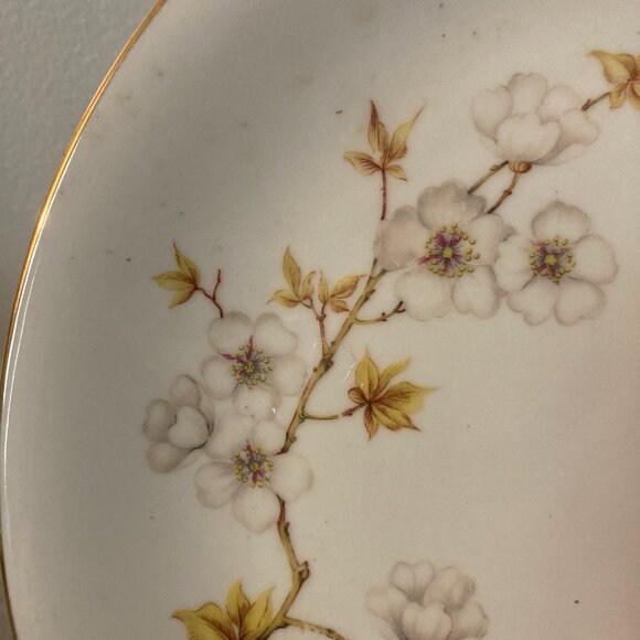 Winterling Bavaria Germany Pattern WIG7 (10) Pc Dinnerware - Picture 2 of 4